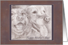 Happy Mother’s Day - Eager Dog Buddies Drawing card