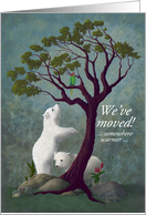 We’ve Moved Somewhere Warmer - Polar Bear Cubs In Tropical Environment card