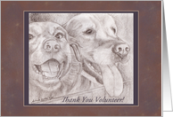 Thank You Animal Rescue Shelter Volunteer - Dog Buddies Drawing card