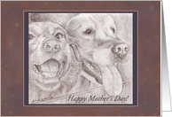 Happy Mother’s Day - Eager Dog Buddies Drawing card