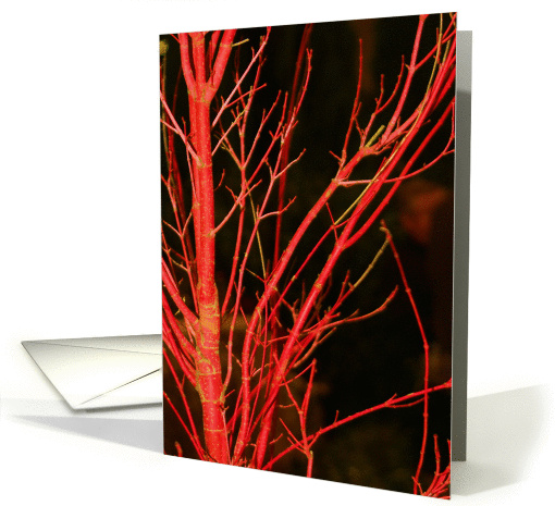 Crimson Fire card (396321)