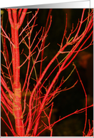 Crimson Fire card