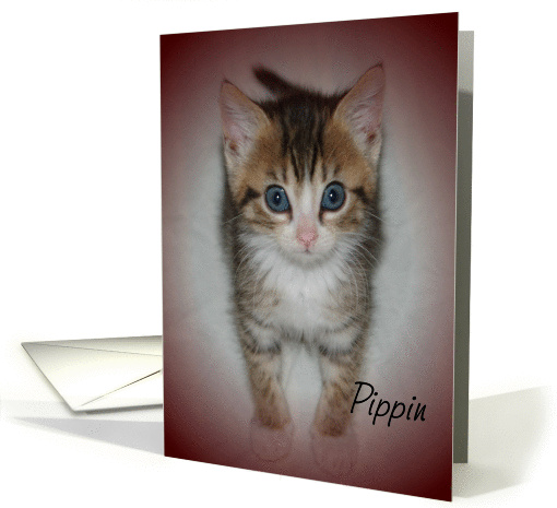 Pippin card (396837)