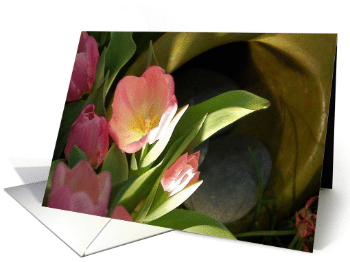 Tulip Lights card (396843)