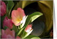 Tulip Lights card