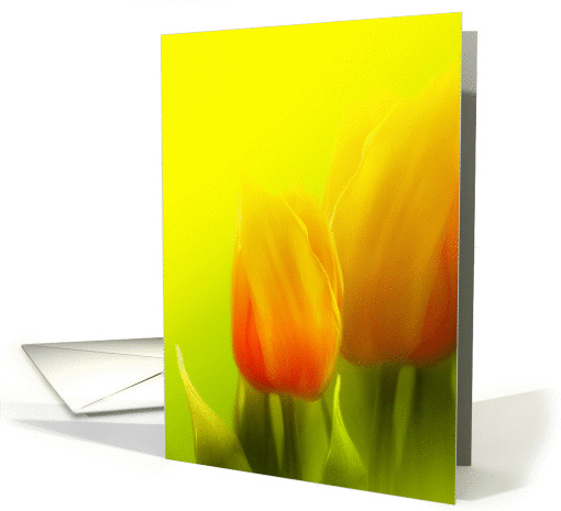 Thank you, romantic tulips card (394391)