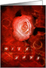 Rose, with love card