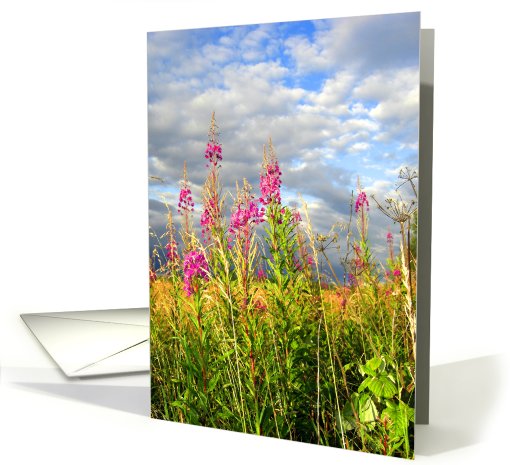 Wild, pink flowers card (397020)