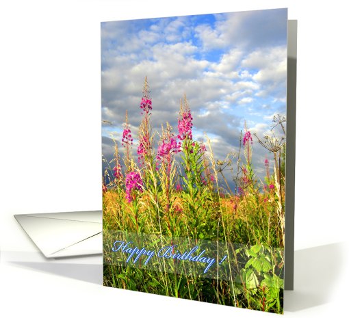 Wild, pink flowers for birthday card (397300)
