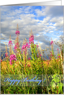 Wild, pink flowers for birthday card