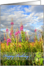 Wild, pink flowers for birthday card