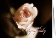 With sympathy,soft rose close up card