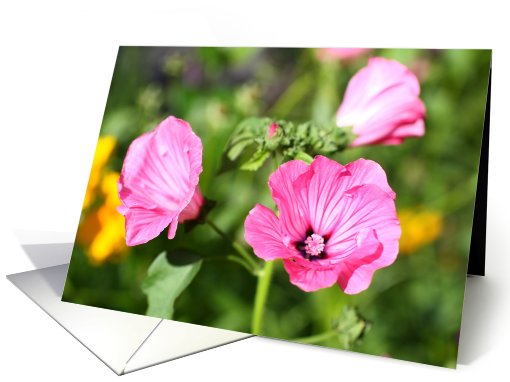 Beautiful, summer flowers card (417308)