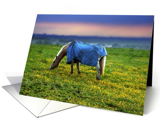 Beautiful horse eating grass on yelllow meadow card (417373)