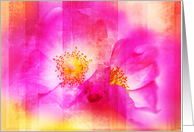 Beautiful, wild roses digital painting card