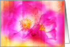 Beautiful, wild roses digital painting card
