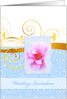 Wedding invitation,...