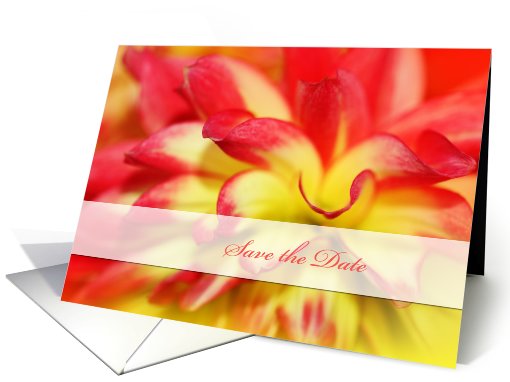 Save the date, beautiful red& yellow dahlia close up card (430322)