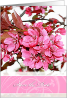 Save the date, pink cherry close up photography card