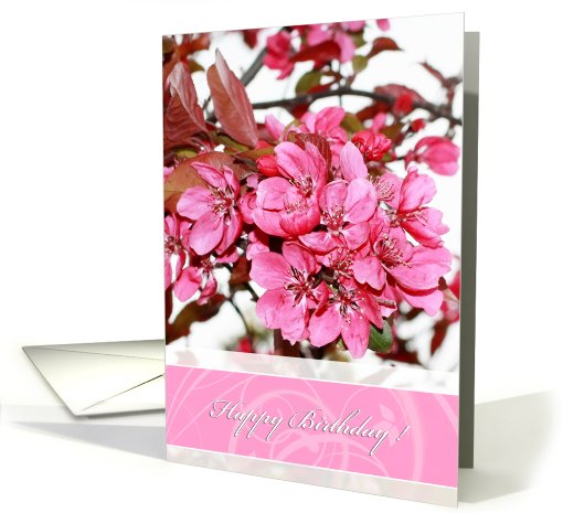 Happy birthday, general, pink cherry close up, photography card