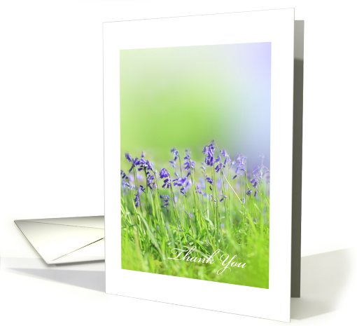 Beautiful Bluebells on soft green background, thank you card (432628)