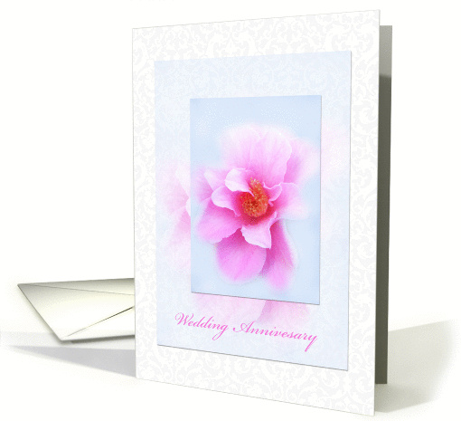 Pink wild rose on damascus background, wedding anniversary card