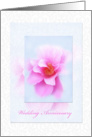 Pink wild rose on damascus background, wedding anniversary card