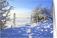 Winter in the fields of Scotland, photography, blank card