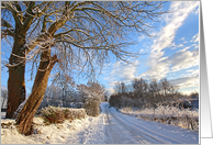 Wintery road with a tree card