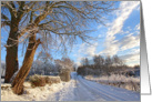 Wintery road with a tree card