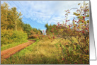 Autumn in the countryside, Scotland card