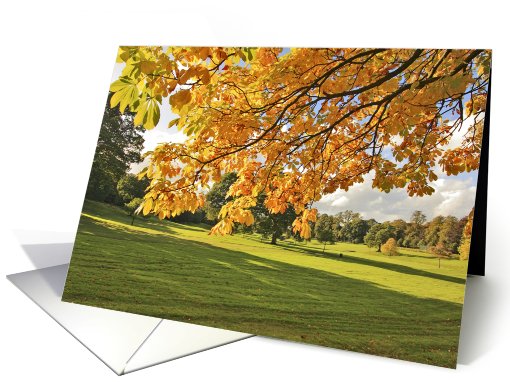 Beautiful, Fall, orange leaves in the park card (735595)