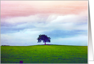 Lonely tree against beautiful summer sky card