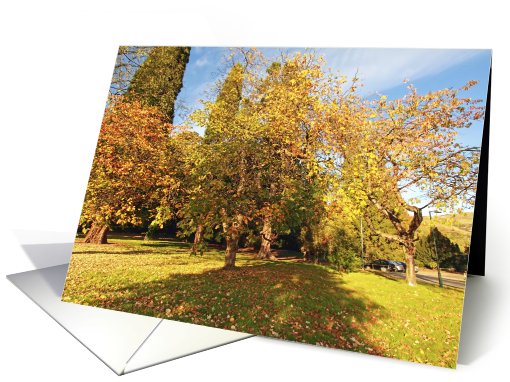 Autumn in the park, beautiful Fall trees card (735612)