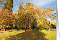 Autumn in the park, beautiful Fall trees card