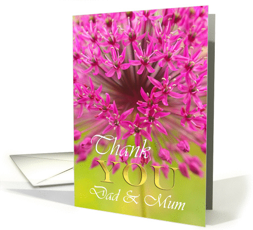 Thank you Dad & Mum , purple flower card (736289)