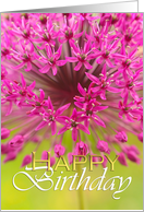 Happy Birthday general, purple flower close up card