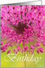 Happy Birthday general, purple flower close up card