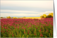 Scottish Summer meadow card