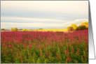 Scottish Summer meadow card