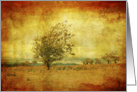 Lonely tree in the fields, vintage blank card