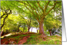 Trees in the park during Spring time, blank card