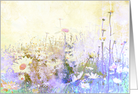 Beautiful grunge meadow of daisies, blank card