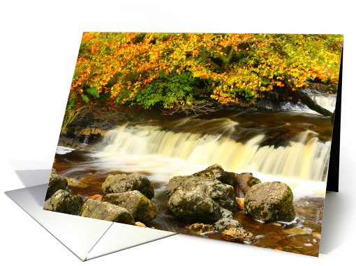 Autumn and the river, beautiful fall leaves, blank card (737013)