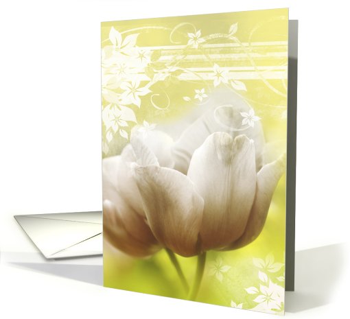 White tulip blank card (738148)
