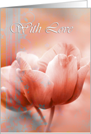 Beautiful white tulip in red, with love card