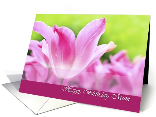 Birthday wishes for mum, pink tulips close up card (738512)