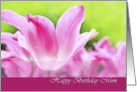 Birthday wishes for mum, pink tulips close up card