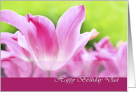Happy birthday dad, pink tulips close up card