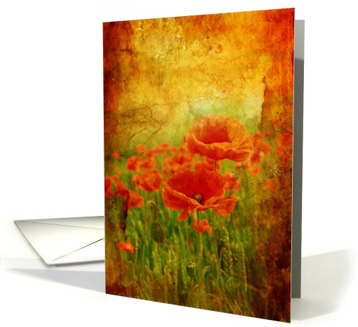 Vintage poppies, blank card (743426)